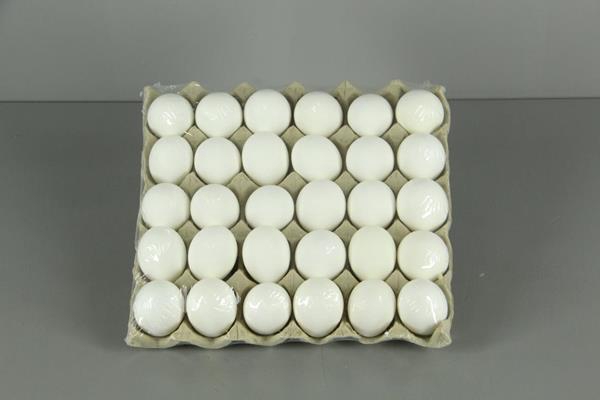 <h4>Egg Chicken White (30pcs/tray)</h4>