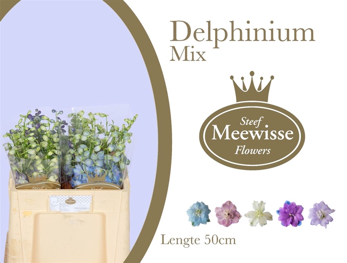 Delphinium do mix in bucket