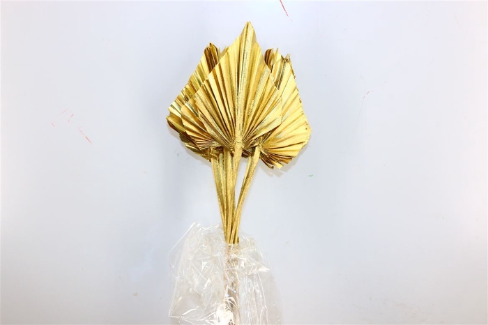 <h4>Dried Palm Spear 10pc Gold Bunch</h4>