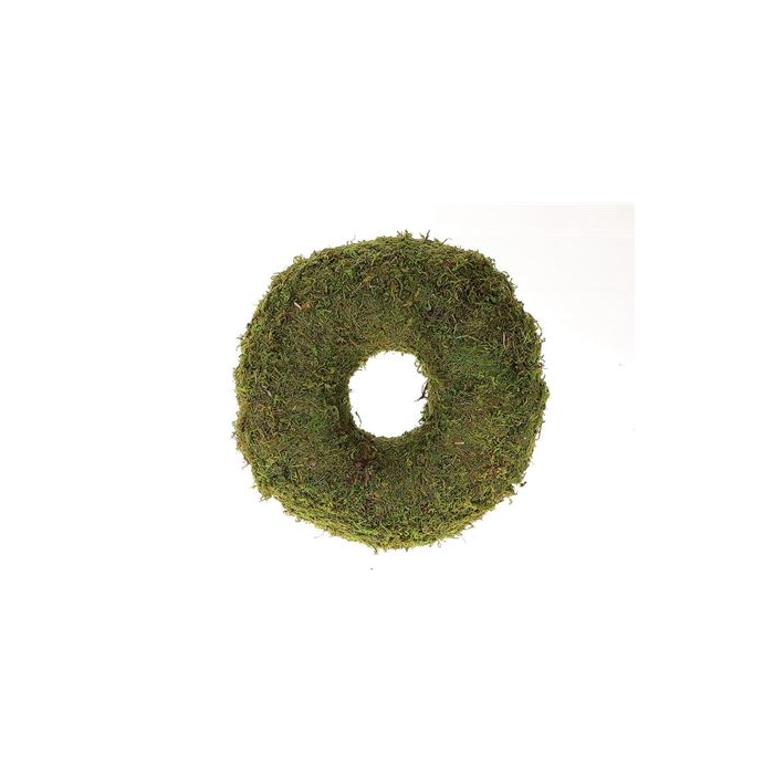 <h4>Wreath Asia Moss Thick H10D28</h4>