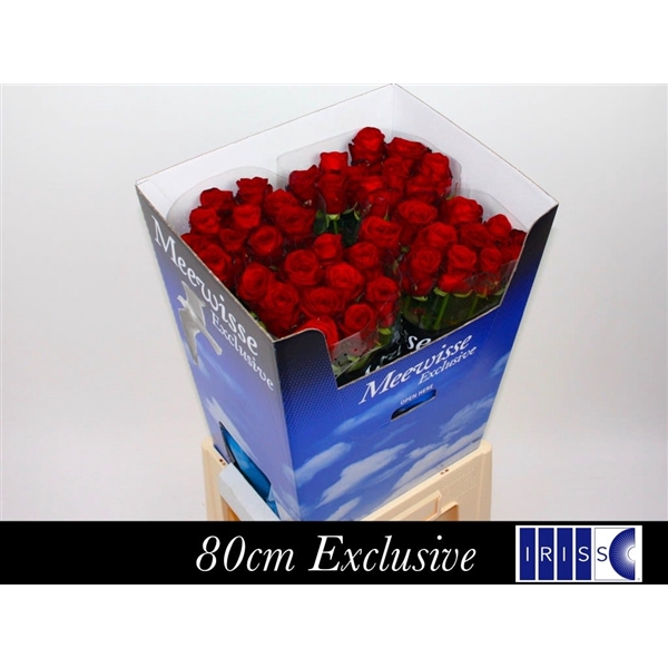 <h4>Red Naomi! Exclusive 80cm</h4>