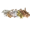 Salal tips dried per bunch Mixed colours Metallic