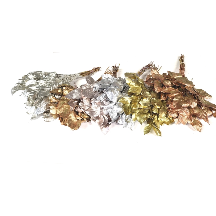 <h4>Salal tips dried per bunch Mixed colours Metallic</h4>