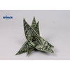 Aloe Variegata Cutflower Wincx-8cm