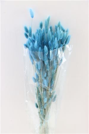 <h4>Dried Lagurus L. Blue Bunch Poly</h4>