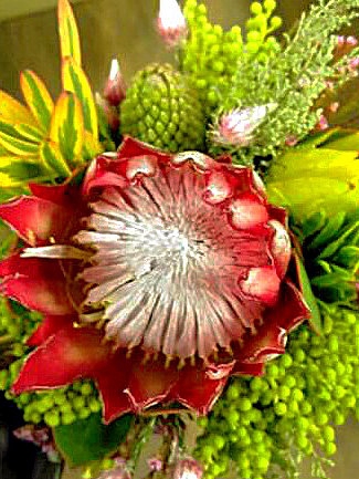 1 Madiba single flower bouquet