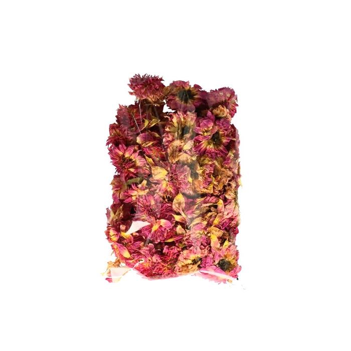 Droogbloem Dahlia koppen x50