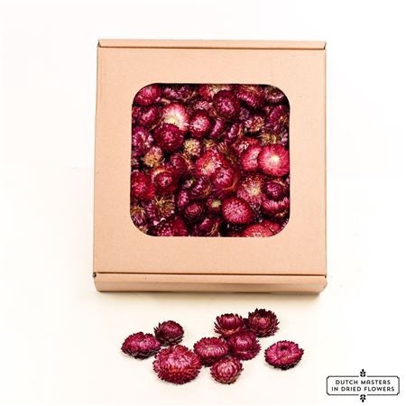 <h4>Dried Helichrysum Heads Violet Box</h4>