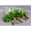 Leaf salal tips 5 bunch per bag