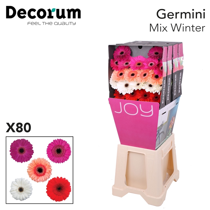 <h4>Germini Mix Winter Diamond</h4>