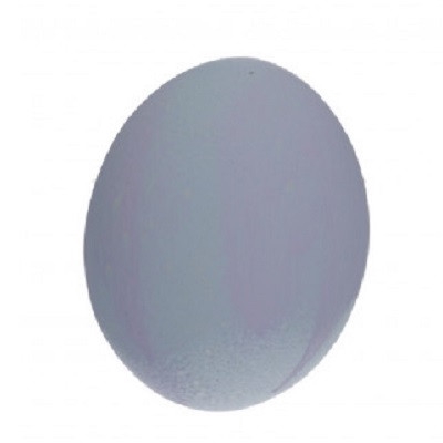 <h4>Sale Easter Egg Ostrich d11*16cm plastic</h4>