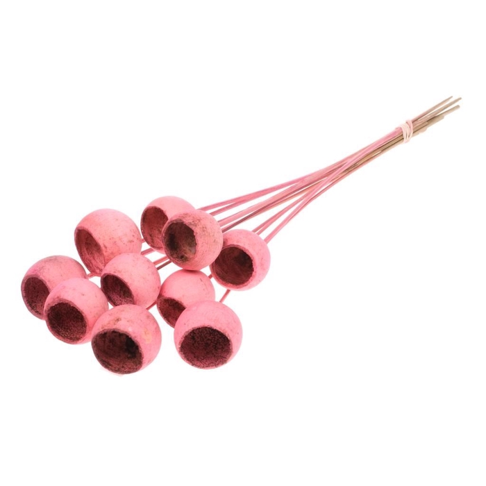 <h4>Bell cup o/s 10pc pink</h4>