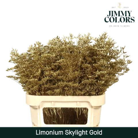 <h4>Limonium skylight paint gold</h4>