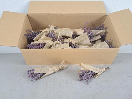 <h4>Pf Lavendel Lilac</h4>