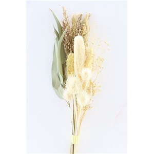 DRIED BOUQUET BABAL PB