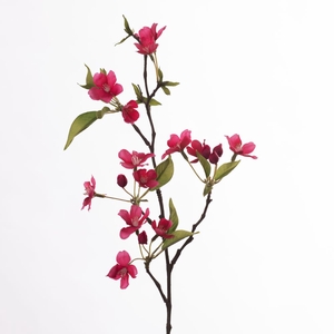 Af Apple Blossom L58cm D.pink