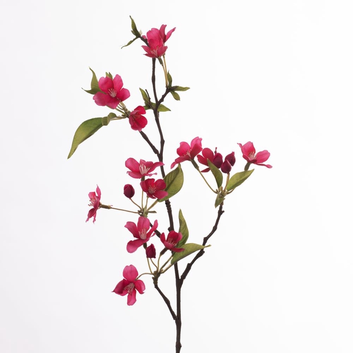 <h4>Af Apple Blossom L58cm D.pink</h4>