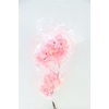 Dried Bougainvillea 55cm Baby Pink Bunch