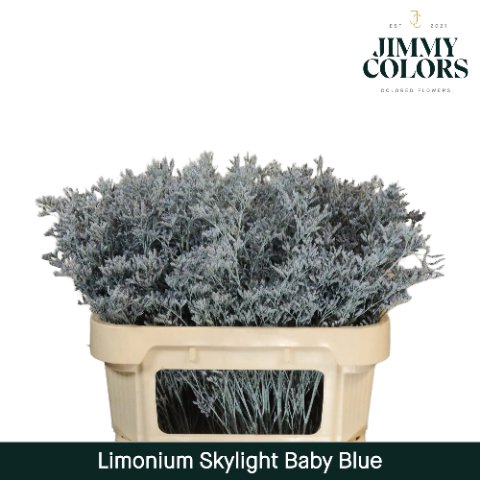 <h4>Limonium skylight paint baby blue</h4>