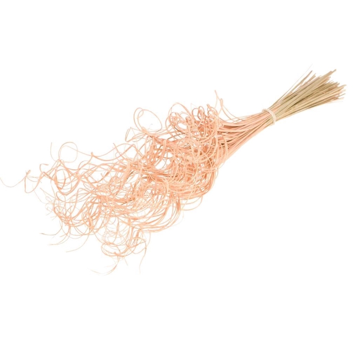 <h4>Curly ting ting (palm) 100pc coral misty</h4>