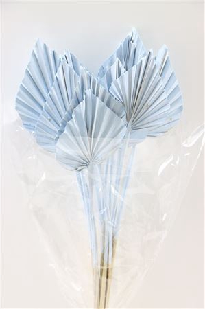 <h4>Dried Palm Spear 10pc Light Blue Bunch</h4>