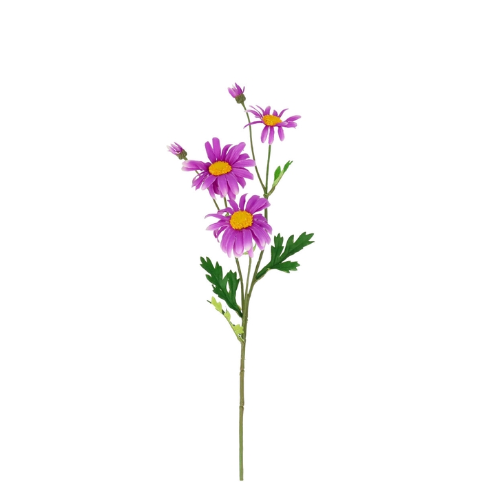 <h4>Artificial flowers bellis perennis 65cm</h4>
