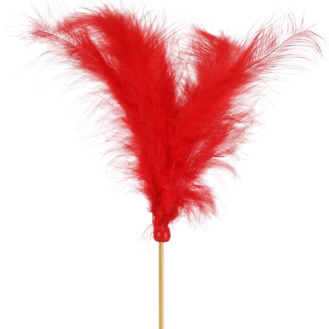 <h4>Pick Feathers 10cm+50cm stick red</h4>