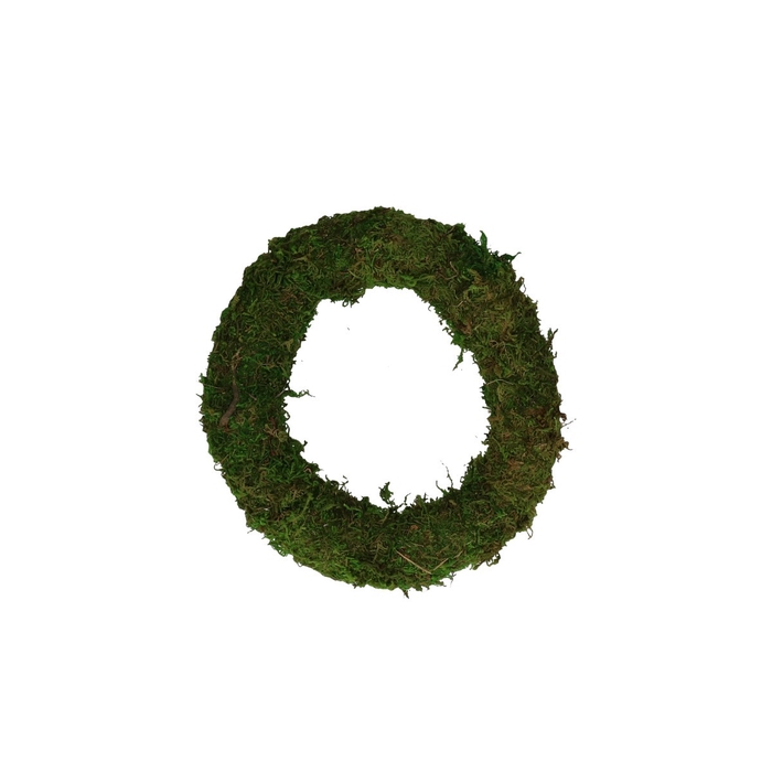 <h4>Wreath d20cm Moss</h4>