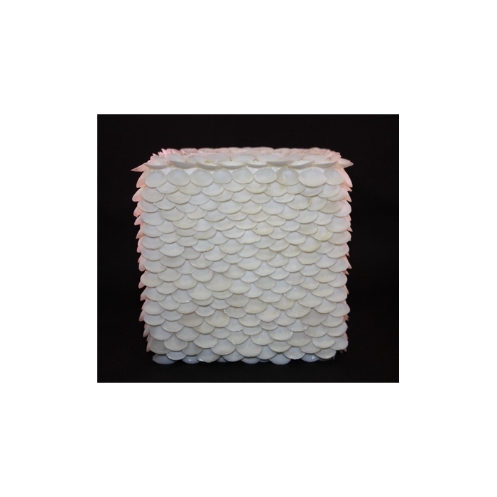 <h4>SHELL CAY CAY CUBE WHITE 15CM</h4>