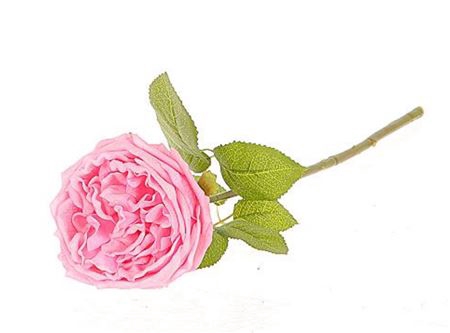 <h4>Stem Rose Florabunda L44w13h10</h4>