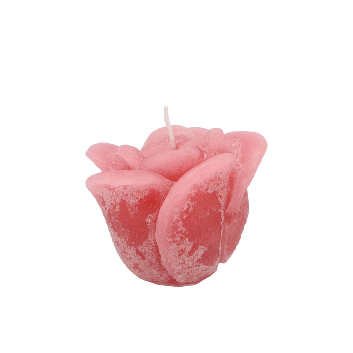 <h4>Candle Roos Blush Pink 8x7cm</h4>
