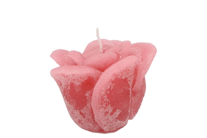 Candle Roos Blush Pink 8x7cm