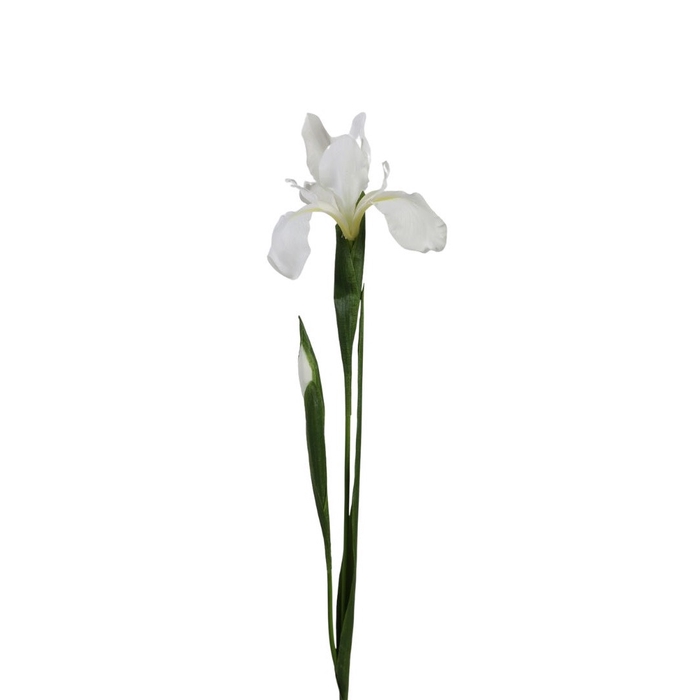 <h4>Artificial flowers Iris 75cm</h4>