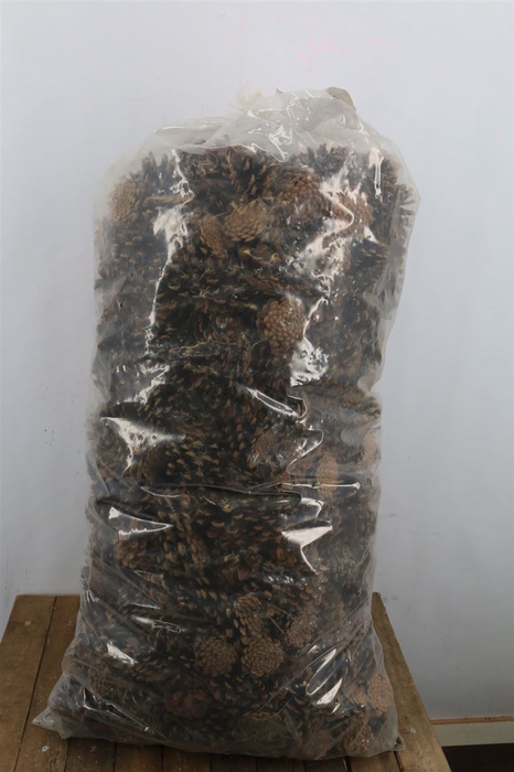 Pinecone Oostenrijker 10kg Natural