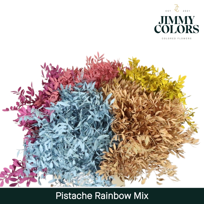 Pistache L50 Rainbow mix