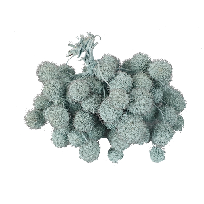 <h4>Small ball per bunch in poly Light Blue</h4>