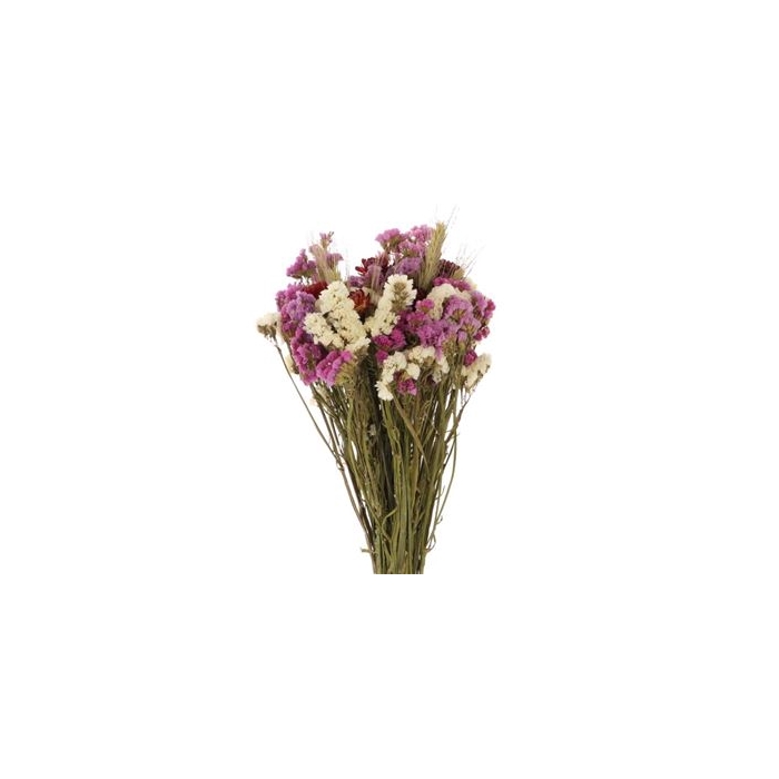 <h4>Bouquet Dutch ColColo L55</h4>