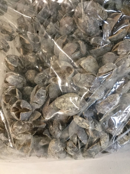 BAKULI FROSTED WHITE 1KG