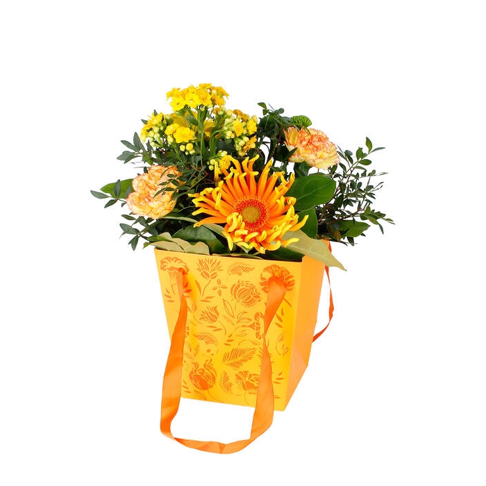 <h4>Tas Floral Karton 16x11xh18cm Oranje</h4>