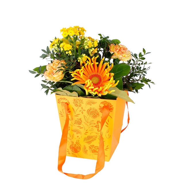 <h4>Bag Floral cardboard 16x12xH18cm orange</h4>