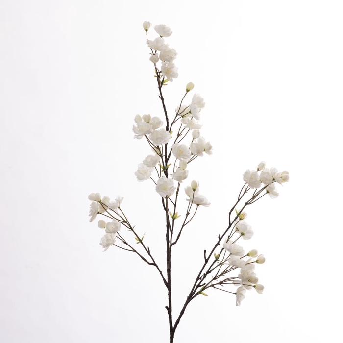 <h4>Af Cherry Blossom L133cm White</h4>