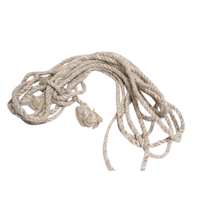 <h4>Rope Thick 10 Mtr</h4>
