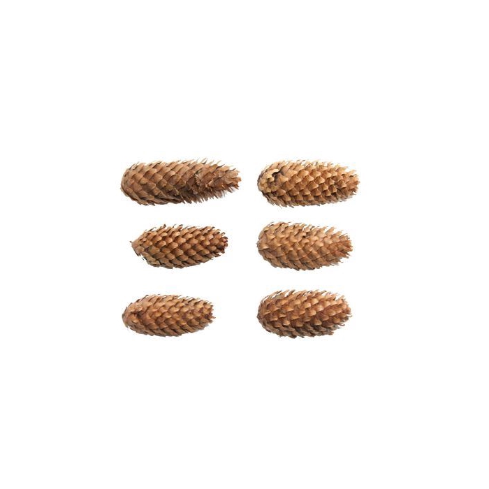 <h4>Pinecone Spruce 5kg</h4>