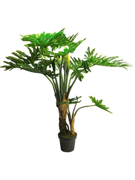 <h4>Philodendron wasimbu green 155</h4>
