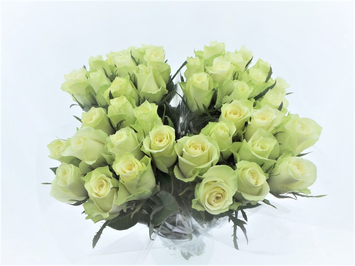 Bouquet Mono Rozen Wit x10 50cm