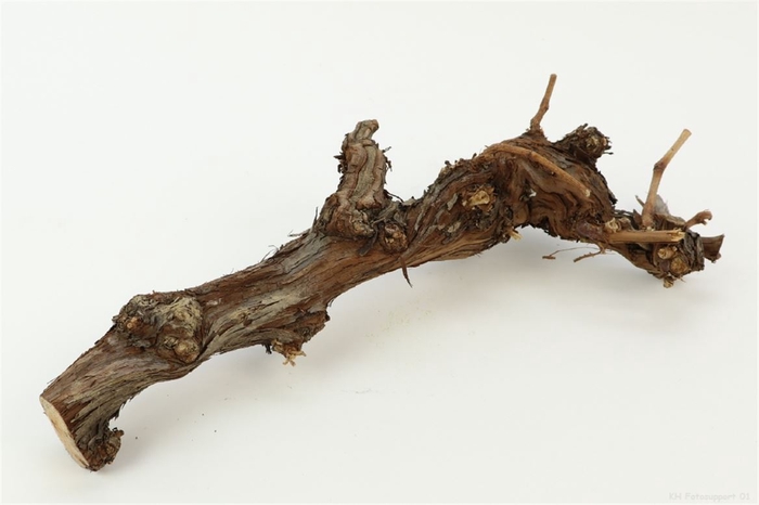 Deco Grapewood Stem Goblet 35-45cm Natural
