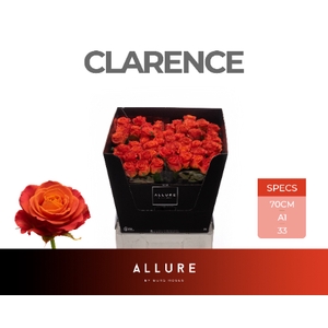 R GR CLARENCE+ ALLURE