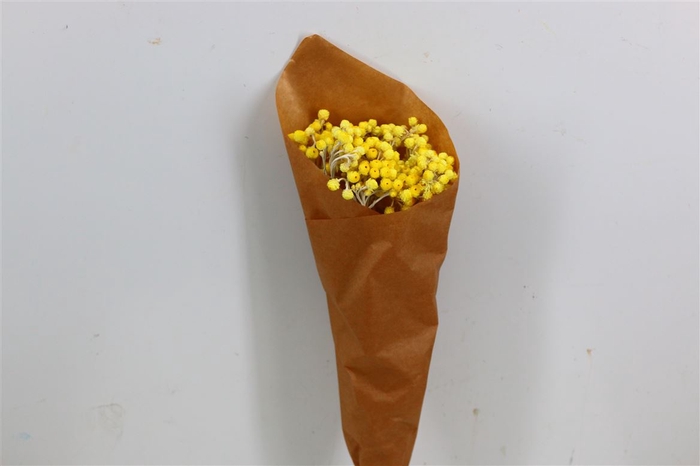 <h4>Dried Immortellen 10pcs Yellow Bunch Paper</h4>