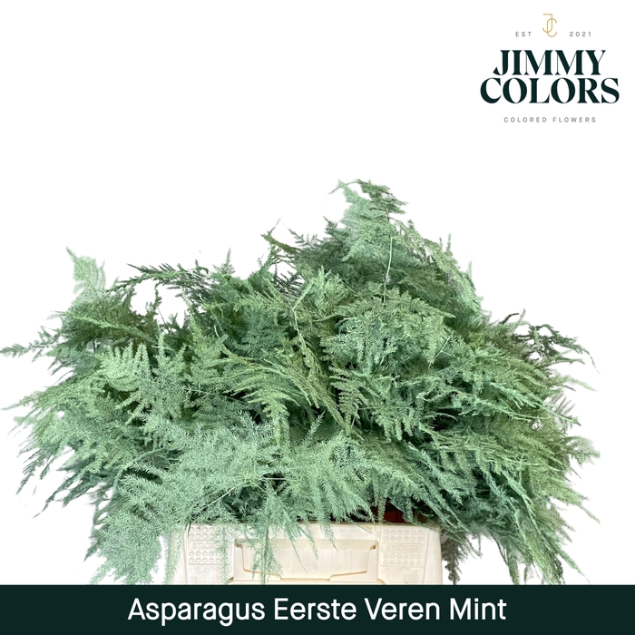 <h4>Asparagus 1ste Mint</h4>