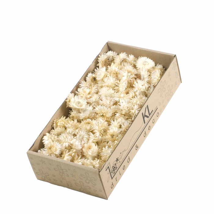 DRIED FLOWERS - HELICHRYSUM HEADS 100GR WHITE NATURAL
